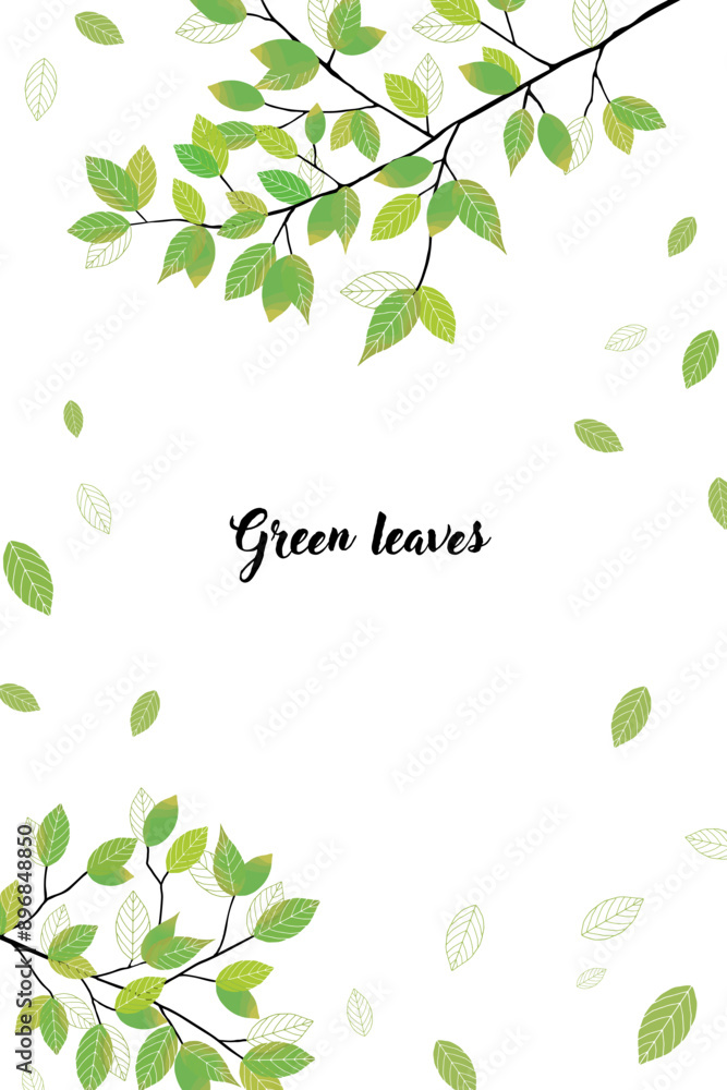 Obraz premium 葉っぱのシンプルフレーム_1