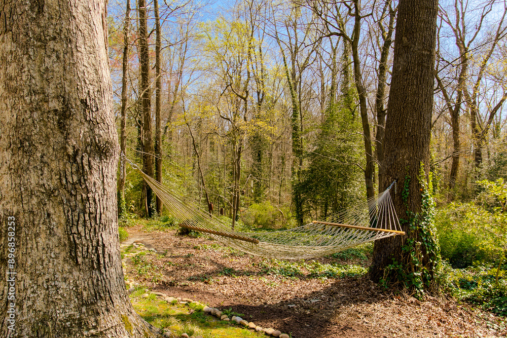 Peaceful Hammock Set Among Tall Trees In A Serene Forest, Perfect For Relaxation in Fall Peaceful Hammock Set Among Tall Trees In A Serene Forest, Perfect For Relaxation in Fall