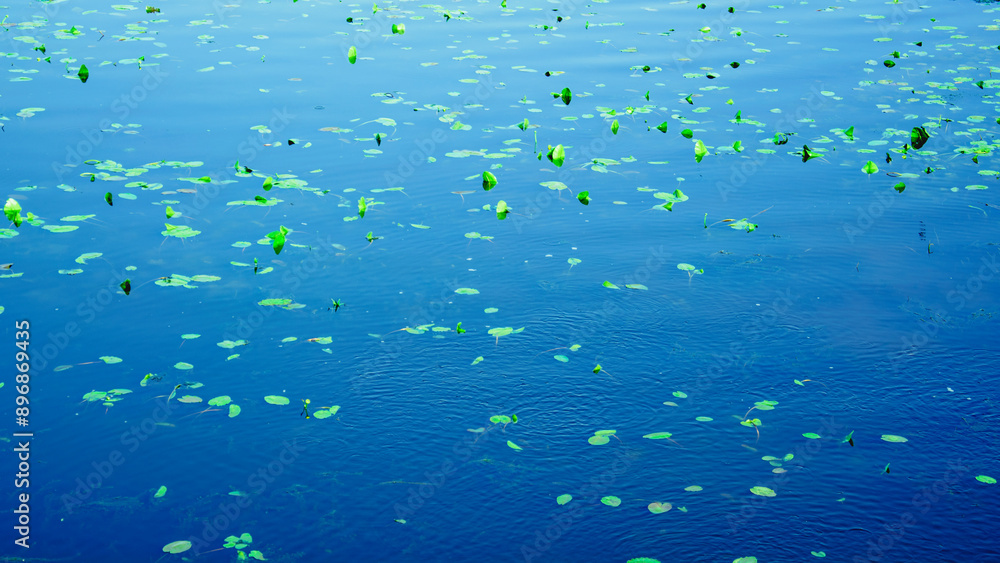 Fototapeta premium Water, river, lake, mirror, nature, background, wallpaper, rest, meditation, walk, blue background