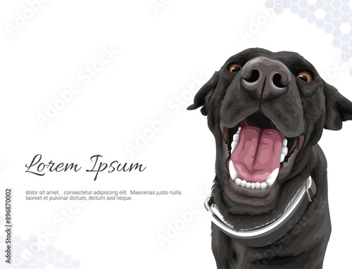 Vector Dog Breed Labrador 2 wall decor ideas