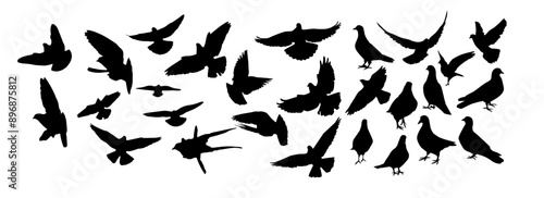 Set of pigeons silhouettes. hand drawing. Not AI. Vector illustration.