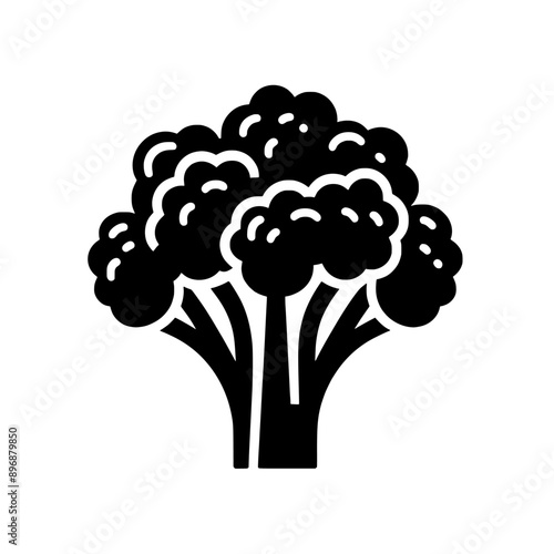 broccoli vector illustration isolated