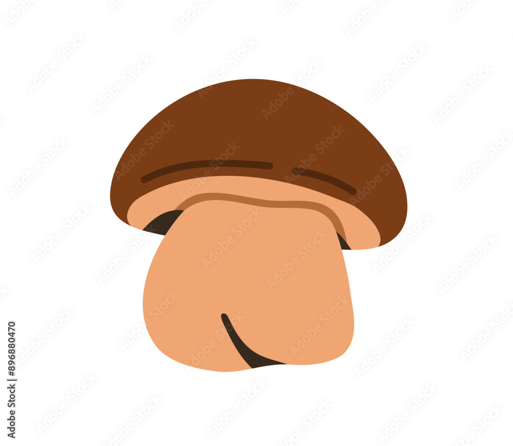 Obraz premium Boletus mushroom. Small porcini fungi, fleshy cap and stipe. Edible fresh organic natural food. Autumn fall forest fungus icon. Botanical flat vector illustration isolated on white background