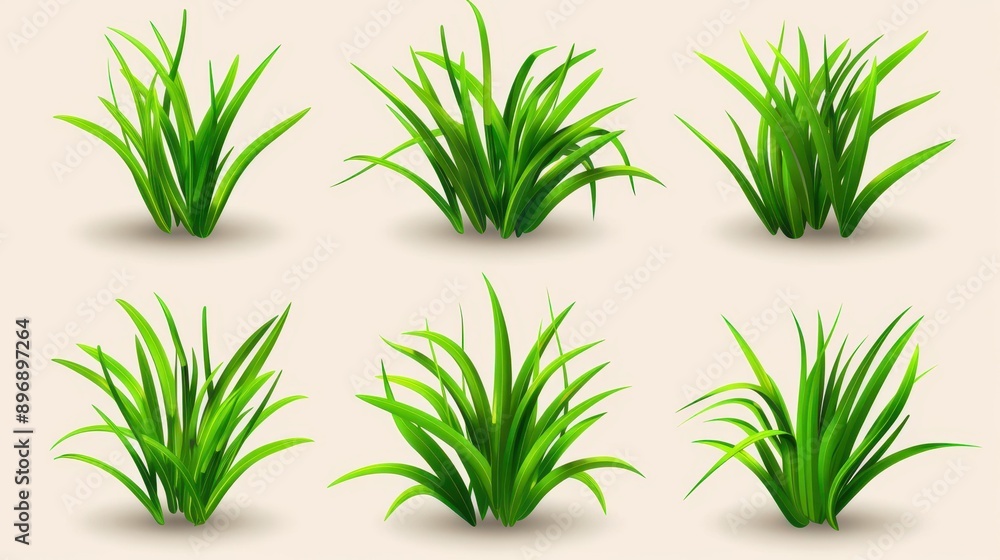 Fototapeta premium Explore a collection of grass design elements, perfect for enhancing your projects with fresh, vibrant illustrations. Ideal for nature lovers