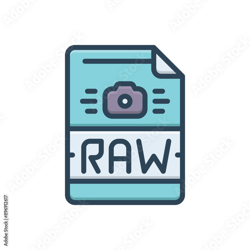 Color illustration icon for raw file