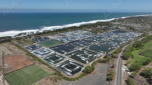 Aerial View of Shrimp Farming in Indonesia photo