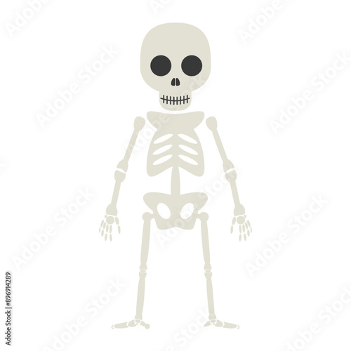 Skeleton Ghost Character