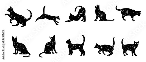 Mystical Cat Set