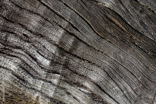 Colorful pattern of old wood for background