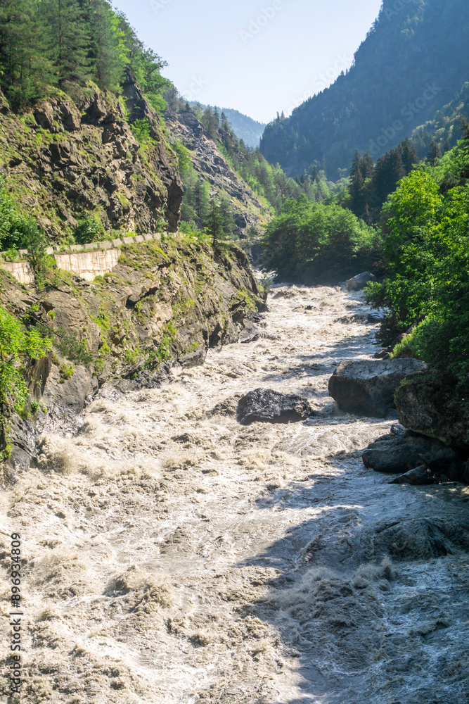 A muddy mountain river flows among trees, rocks and bushes. Huge stones in the riverbed. Mountain landscape in the background A muddy mountain river flows among trees, rocks and bushes. Huge stones in the riverbed. Mountain landscape in the background