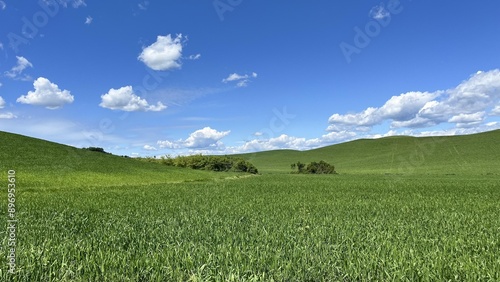 Landscape of a green field with blue sky, grass and clouds in the sky.