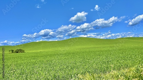 A landscape with a large lawn and hills and a blue sky with few clouds.