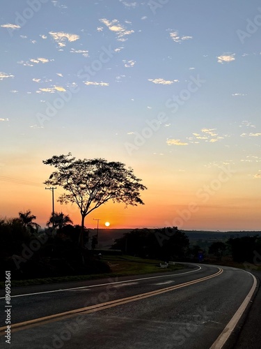 Sunrise on the road while traveling, with a tree and an asphalt road.