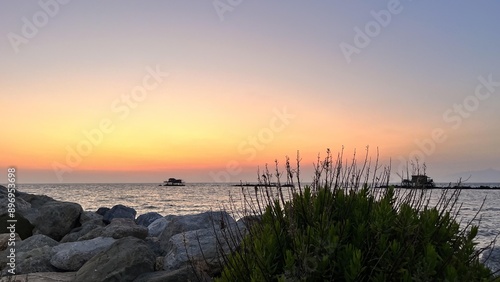 Sunset seascape, a small bush and rocks at the seaside.