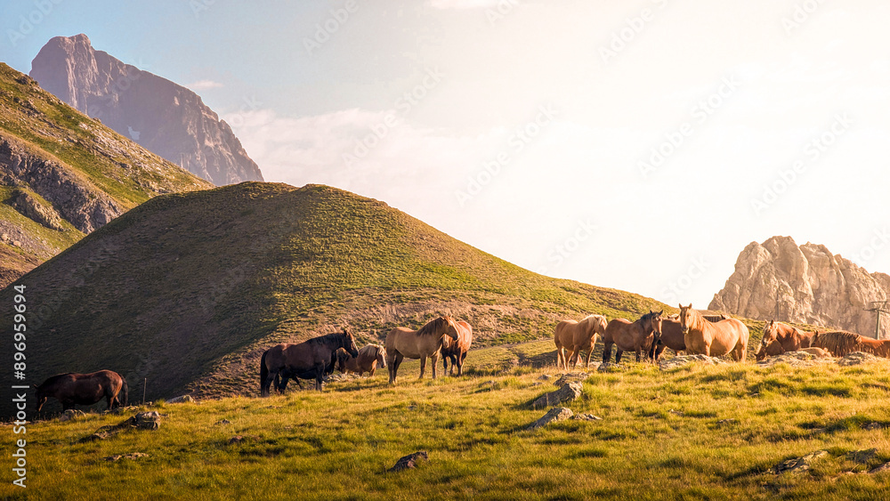 Φωτογραφία Horses enjoying the sunset in the picturesque surroundings of Ibón de Anayet in