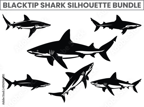 Sea Animal Blacktip Shark Silhouette Vector, Flat Illustration of Shark Fish Silhouettes