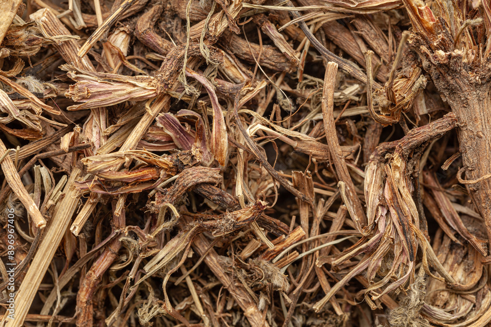 Close-up of Dry Organic Pellitory or Akarkara roots (Anacyclus pyrethrum), Full-Frame wallpaper. Top View Close-up of Dry Organic Pellitory or Akarkara roots (Anacyclus pyrethrum), Full-Frame wallpaper. Top View