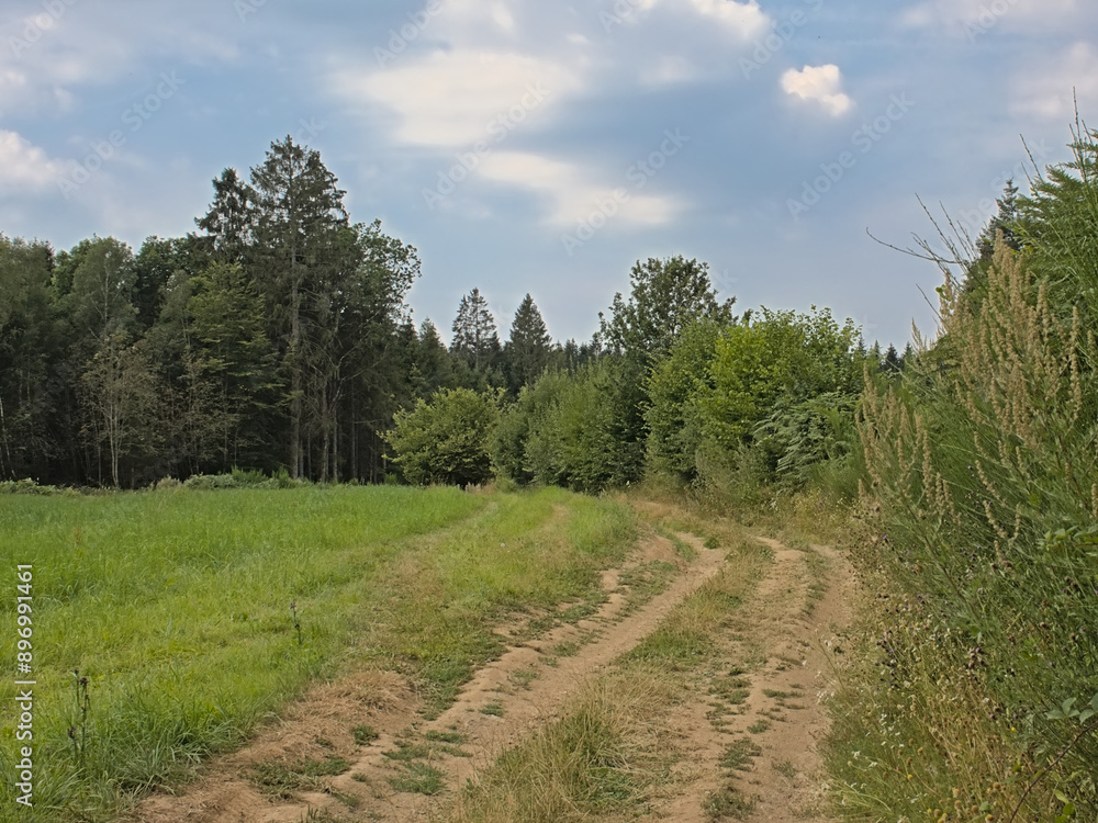 Trail through a sunny summer landscape in Ardennes, Wallonia, Belgium Trail through a sunny summer landscape in Ardennes, Wallonia, Belgium