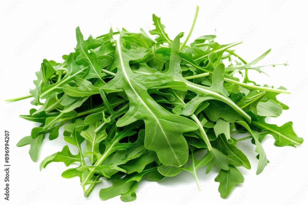 Arugula Leaf Heap. Fresh Green Nature Pile Isolated on White Background Arugula Leaf Heap. Fresh Green Nature Pile Isolated on White Background