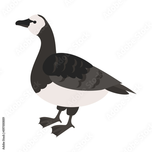 カオジロガン。フラットなベクターイラスト。
Barnacle goose. Flat vector illustration.