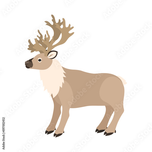 トナカイ（カリブー）。フラットなベクターイラスト。
Reindeer (Caribou). Flat vector illustration.