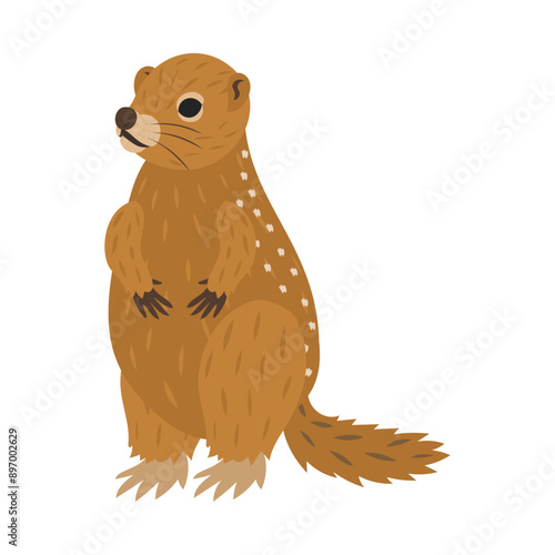 ホッキョクジリス。フラットなベクターイラスト。
Arctic ground squirrel. Flat vector illustration.