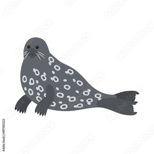ゼニガタアザラシ。フラットなベクターイラスト。
Harbor seal (harbour seal, common seal). Flat vector illustration.