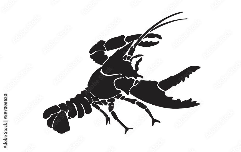 Graphical cancer isolated on white background, seafood element. Vector illustration Graphical cancer isolated on white background, seafood element. Vector illustration