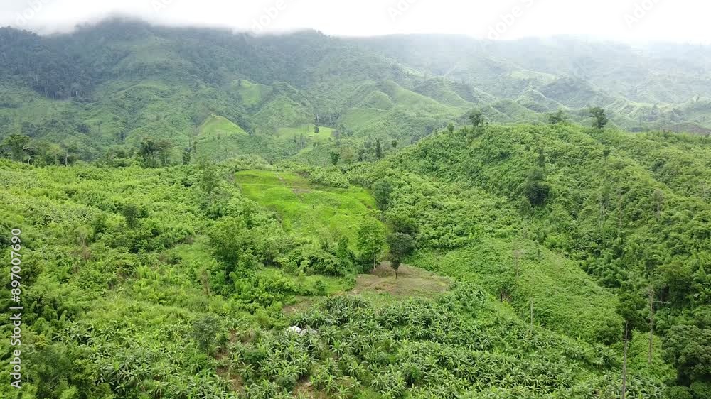 landscape in the mountains