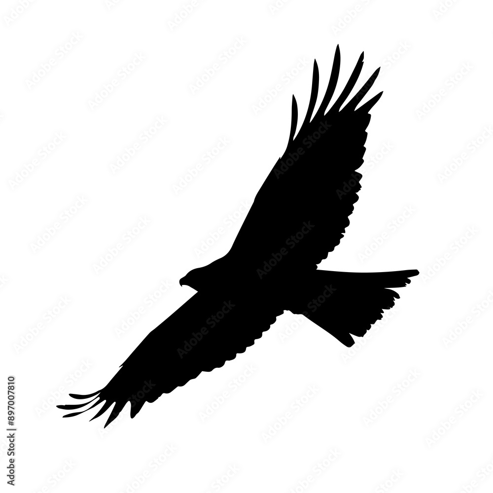 Obraz premium Eagle in flight top view, eagle silhouette. Eagle silhouette.