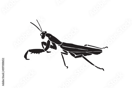 Graphical mantis isolated on white background, vector illustration. Insect black silhouette 