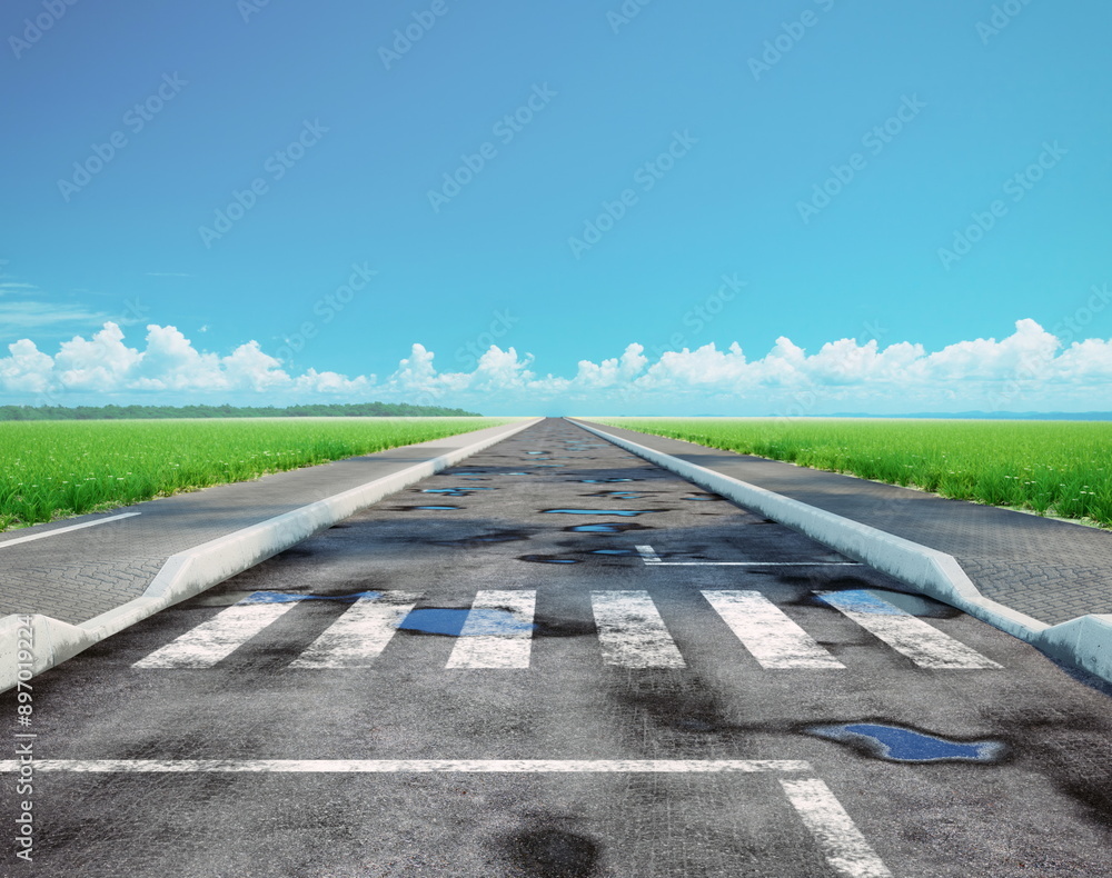 Obraz premium crosswalk on the asphalt road cross the green field.