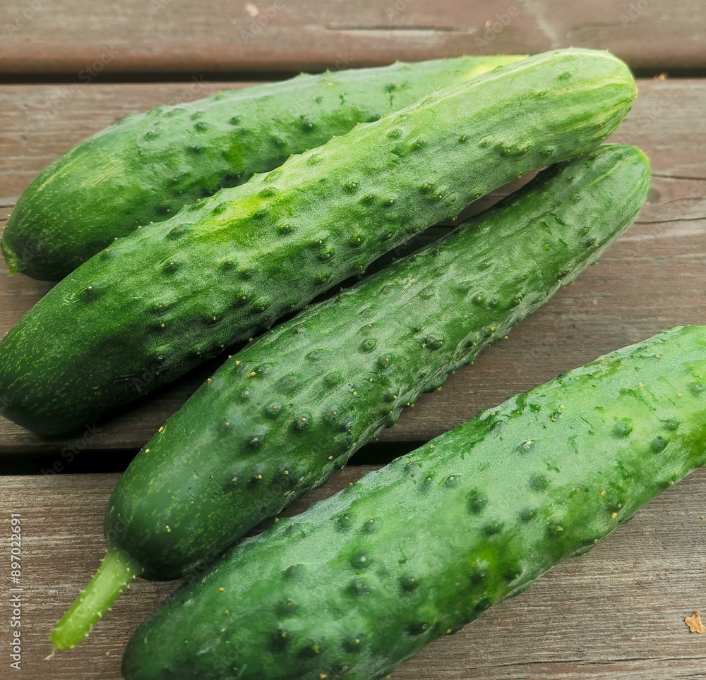 Fresh cucumbers Fresh cucumbers