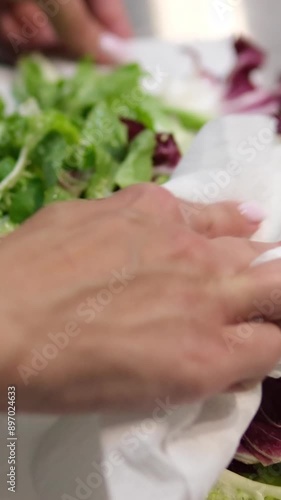 Drying washed lettuce leaves on a paper towel. blot the lettuce leaves with a paper towel photo