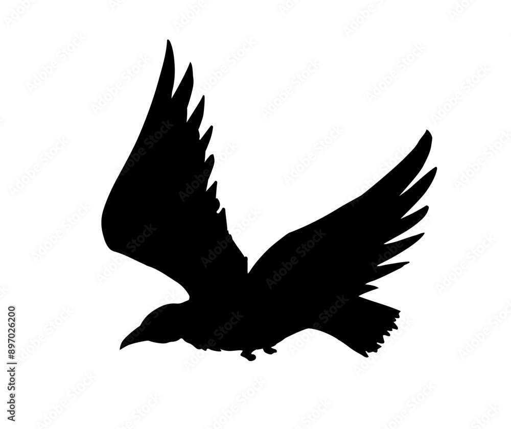 Obraz premium Vector drawing. Big flying bird