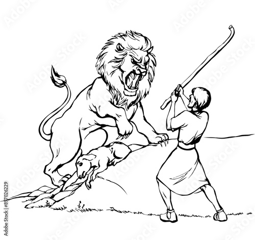Vector drawing. An angry lion steal sheep