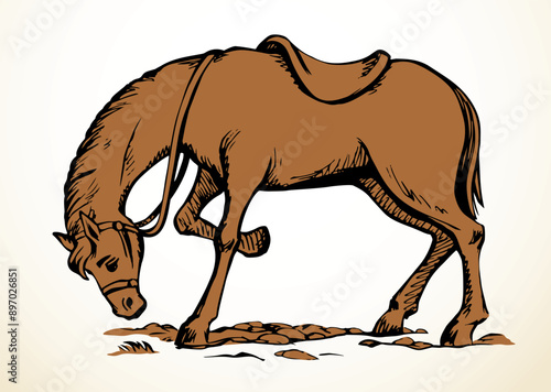 Vector drawing. A horse eating the grass © Marina