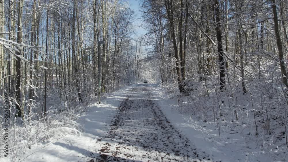 Snow-covered path through a winter forest under a clear blue sky Snow-covered path through a winter forest under a clear blue sky