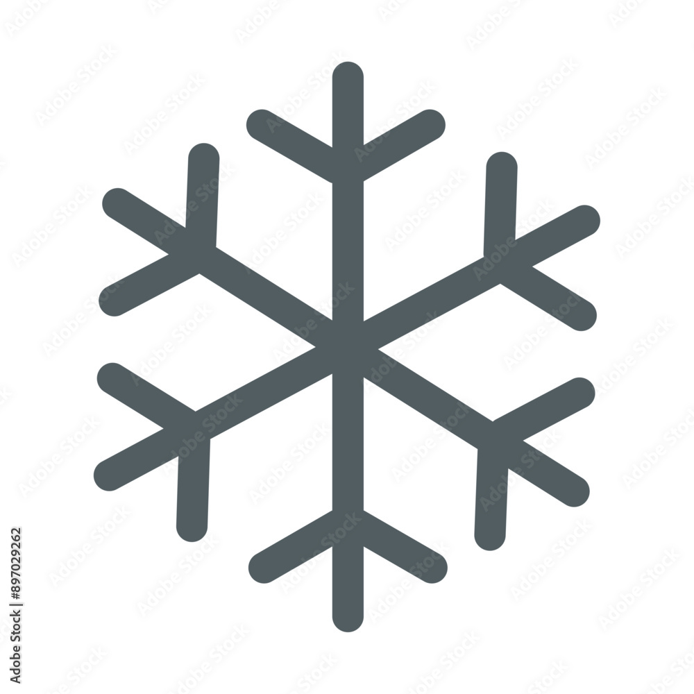 Fototapeta premium snowflake on white background