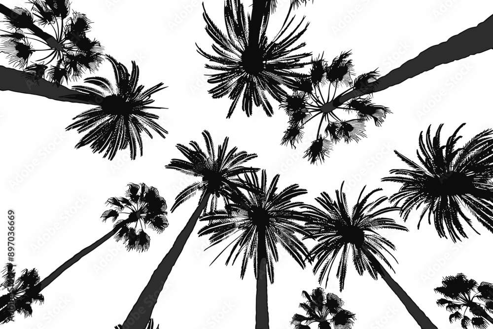 Fototapeta premium Detailed palm and coconut tree silhouette worms eye view illustration