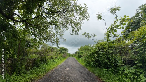 A narrow road featuring a pothole, surrounded by lush vegetation and trees, with a cloudy sky typical of monsoon weather. 