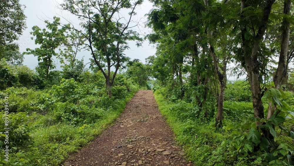 A secluded rocky pathway surrounded by trees and dense vegetation, beneath a cloudy sky, ideal for outdoor enthusiasts. A secluded rocky pathway surrounded by trees and dense vegetation, beneath a cloudy sky, ideal for outdoor enthusiasts.