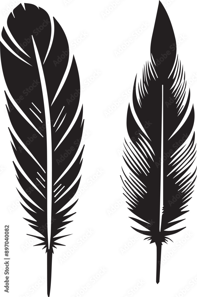Bird Feather silhouette, black vector on white background Bird Feather silhouette, black vector on white background