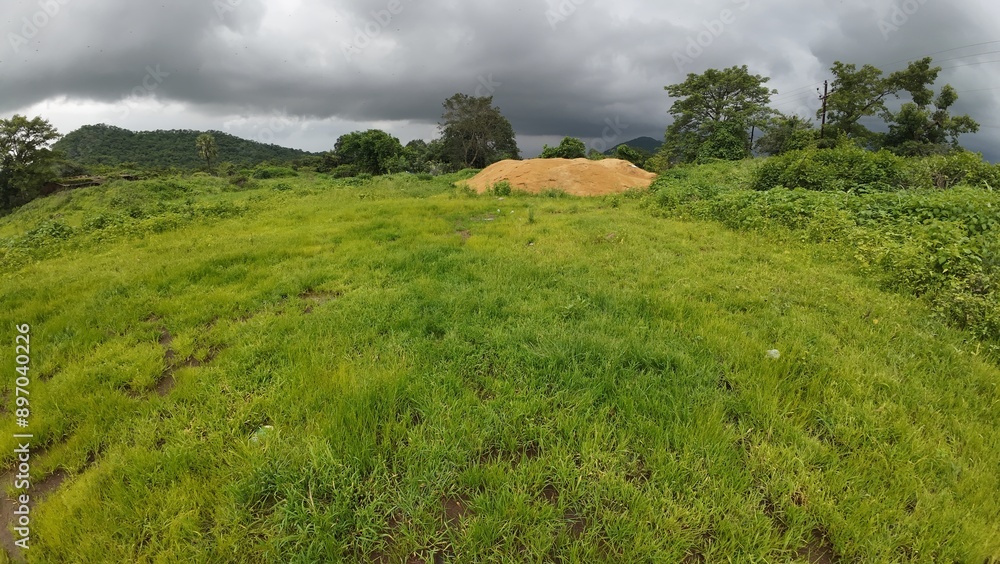 Obraz premium A vibrant scene of lush green grass beneath a cloudy sky, capturing the essence of the monsoon season's beauty. 