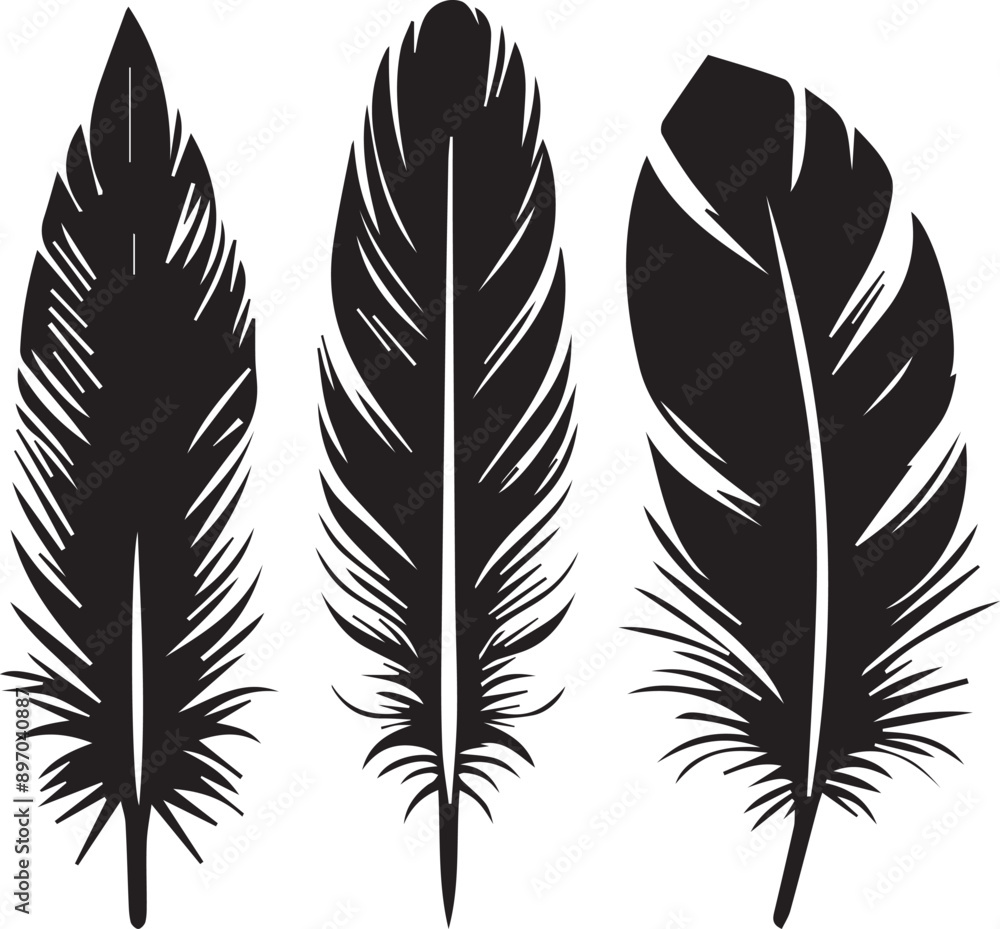 Bird Feather silhouette, black vector on white background Bird Feather silhouette, black vector on white background