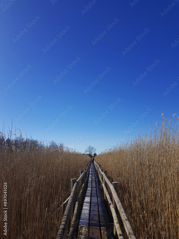 Wooden path in a Field Wooden path in a Field