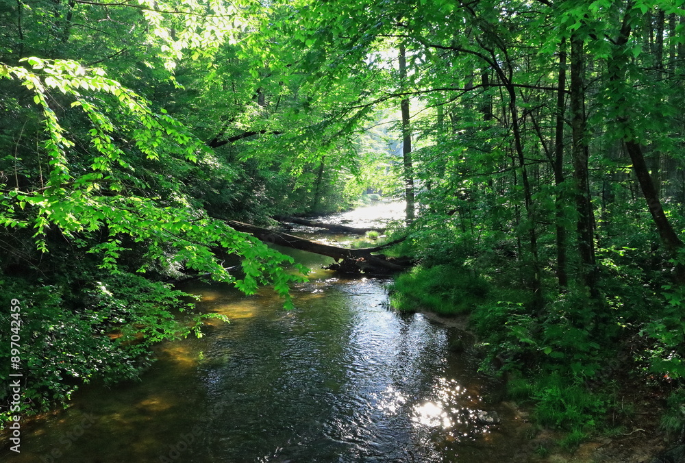 Mountain Stream In Licking Creek Valley, At Spectacle Gap, Juniata County, Pennsylvania, USA. Mountain Stream In Licking Creek Valley, At Spectacle Gap, Juniata County, Pennsylvania, USA.