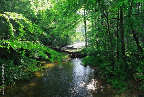 Mountain Stream In Licking Creek Valley, At Spectacle Gap, Juniata County, Pennsylvania, USA.