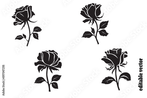 Obraz na plátně illustration of a wilting rose silhouette