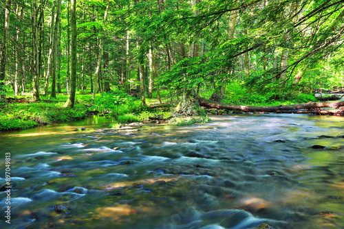 Mountain Stream Flowing Thru Karl B. Guss Picnic Area In Juniata County,Pennsylvania, Usa.